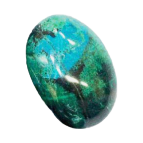 Chrysocolle